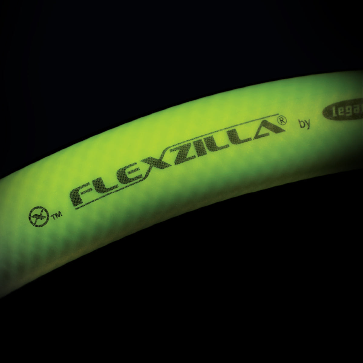 Flexzilla Tire Inflator with 12" Hose — AL2000FZ